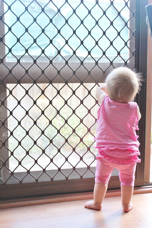 [IMG_7407%255B5%255D.jpg]