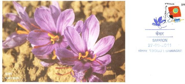 [Chinar-2011%2520005%255B7%255D.jpg]