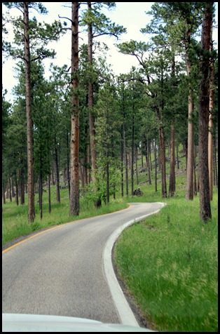 IMG_8871 IMG_8871