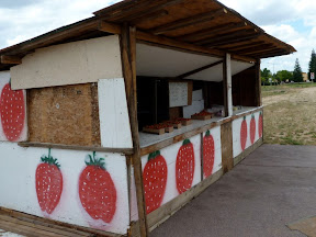Fresh Strawberries