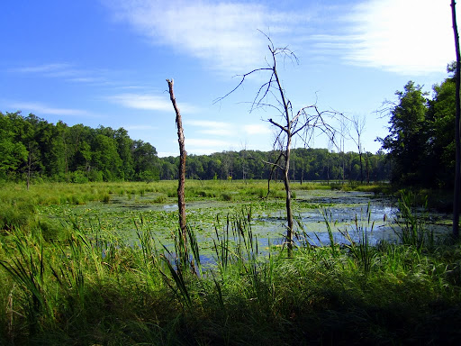 West side of south Twin lake