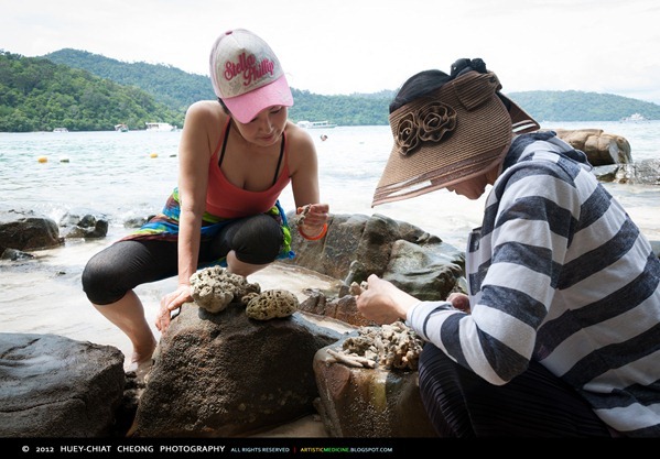 Japanese on vacation going through some dead corals they've found | © 2012 Huey-Chiat Cheong Photography