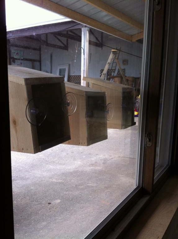 [birdhouse%255B4%255D.jpg]