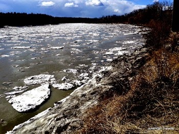 20150412_123523 20150412_123523