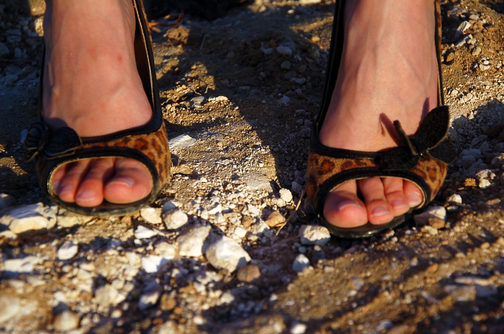 [DSC_0947%255B7%255D.jpg]