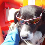 P7230250.JPG