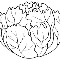 FRUTAS Y VERDURAS