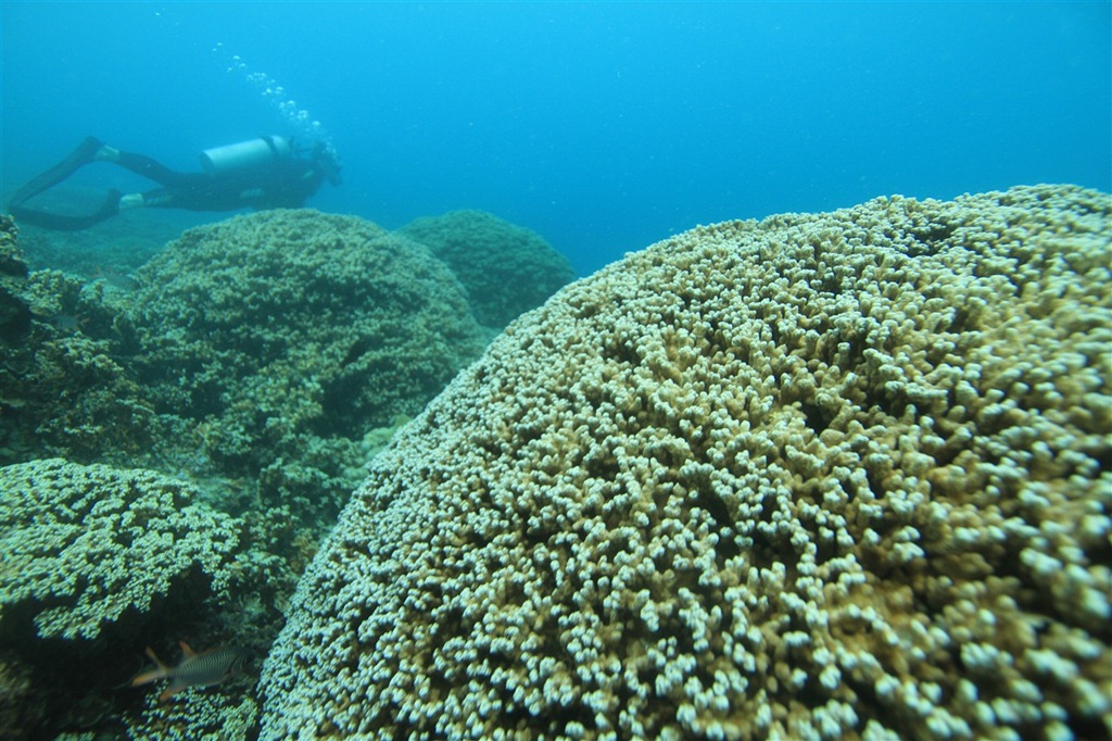 [IMG_06837.jpg]