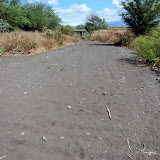 IMG_0493.JPG