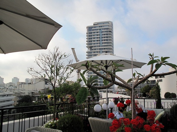 IMG_3713 IMG_3713