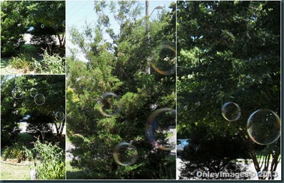 bubbles collage1