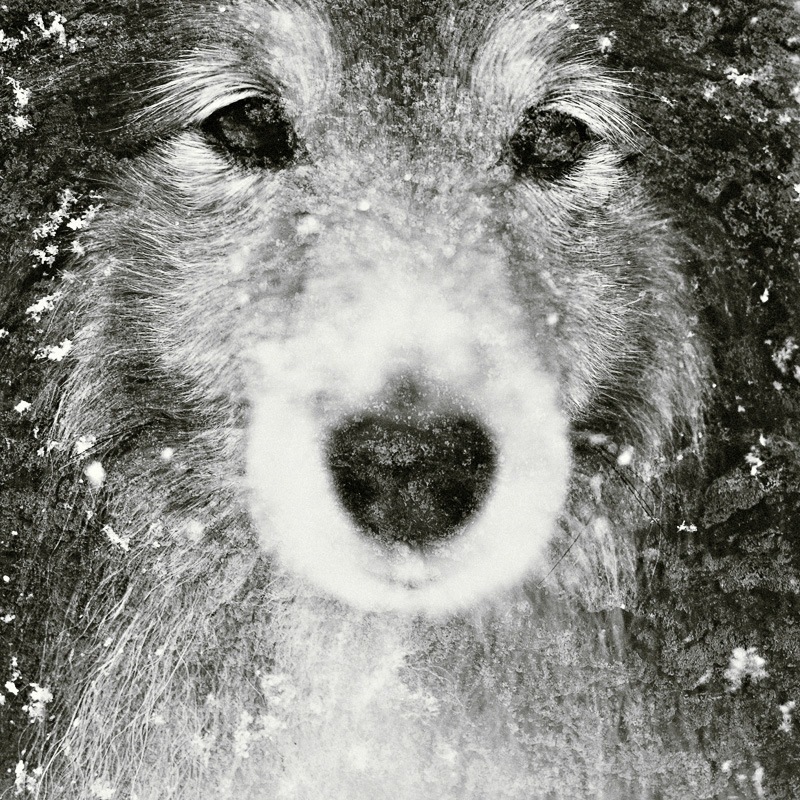 6 6