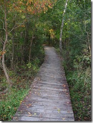 Bridge9-M