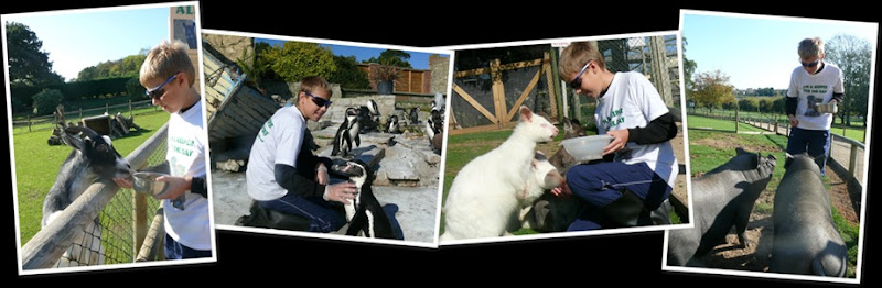 View Oliver Niemiec 2011 2