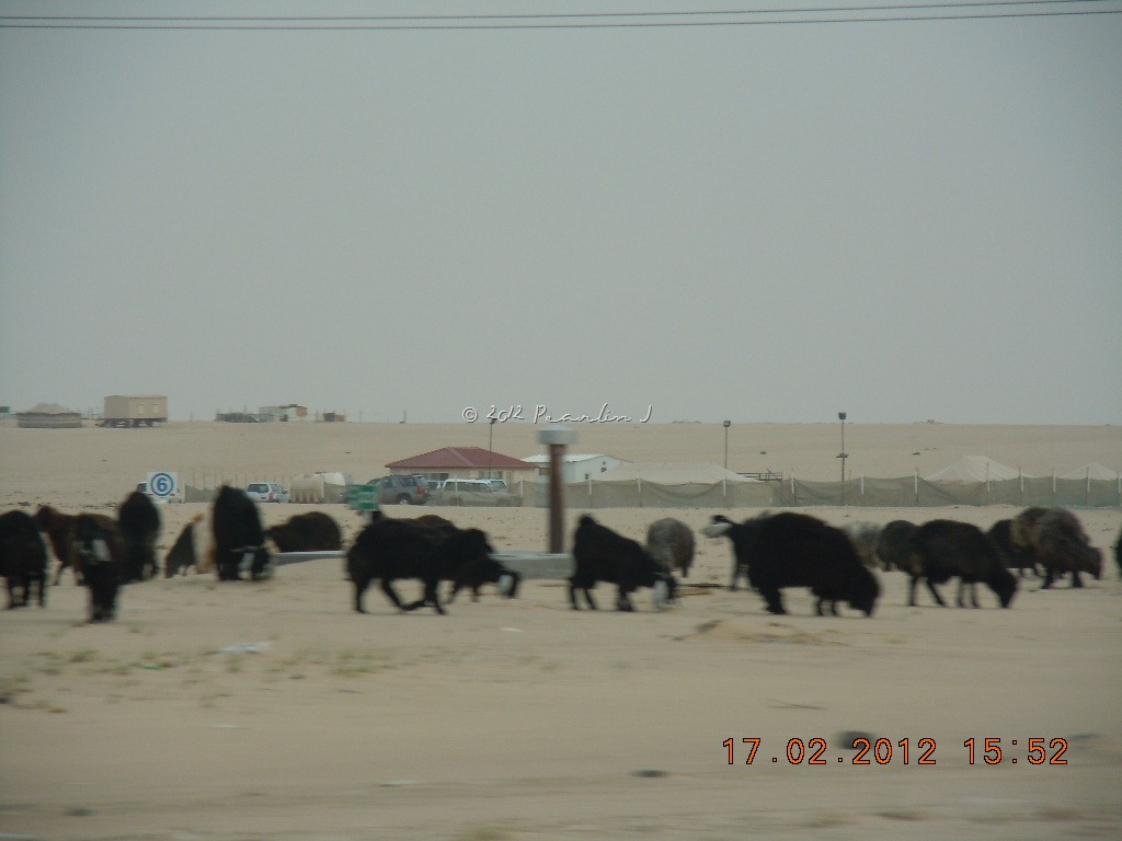 [Picnic%2520075%255B4%255D.jpg]