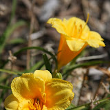 IMG_1782.JPG