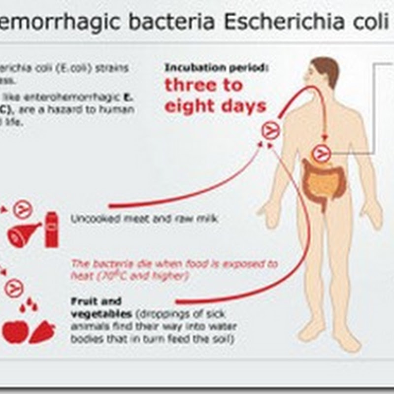 Travelers Beware 'Super Toxic' Bug (EHEC) in Thailand