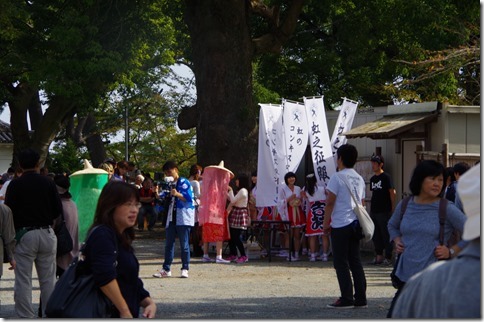 IMGP3153 IMGP3153
