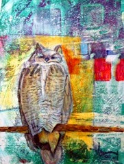 day 8 another owl day 8 another owl