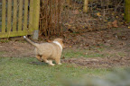_DSC0099.JPG
