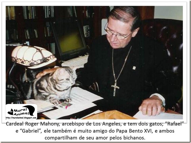 papa_ama_gatos (7) papa_ama_gatos (7)