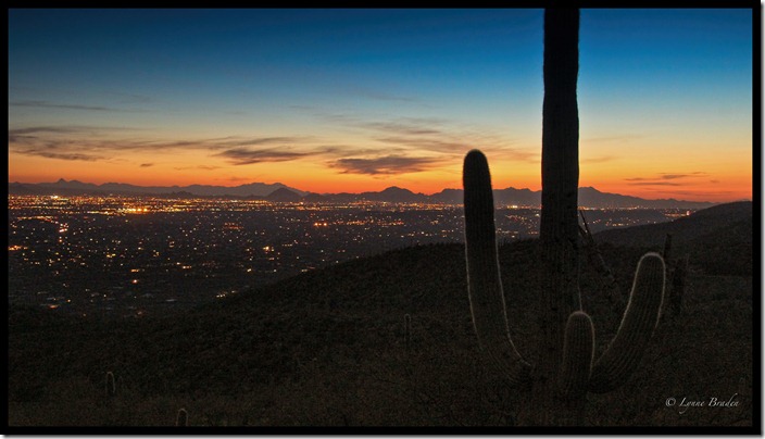 Tucson Lights