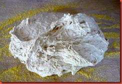 P1230471