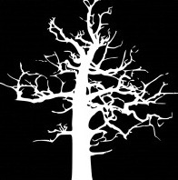 [tree8.jpg]