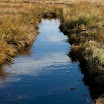 IMG_8206_edited-1.jpg