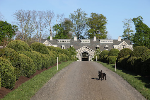 And remember all of the work we did burlapping these boxwoods?  It has really paid off!