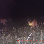 ICAM0123.JPG