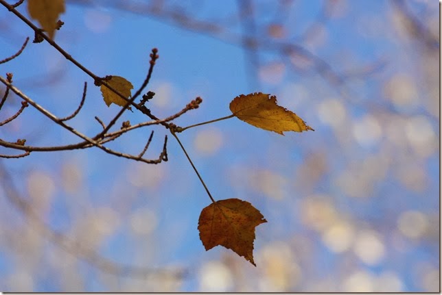 IMG_2074 IMG_2074