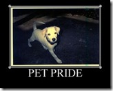 PETPRIDE