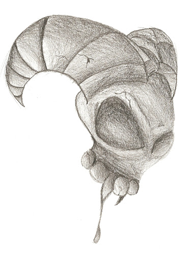 Skull Pencil Drawing