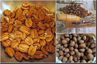pecan shelling pecan shelling