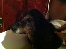IMG_0489 IMG_0489