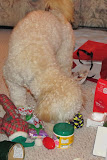 IMG_0082-6.JPG