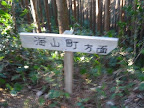 IMG_4883_512.JPG