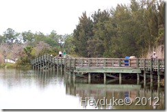 2012-02-01 Seminole Campground area 054
