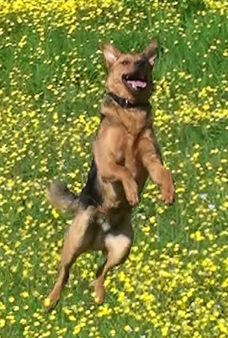 [Apollo4%255B8%255D.jpg]