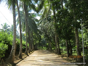 [IMG_4586%255B3%255D.jpg]