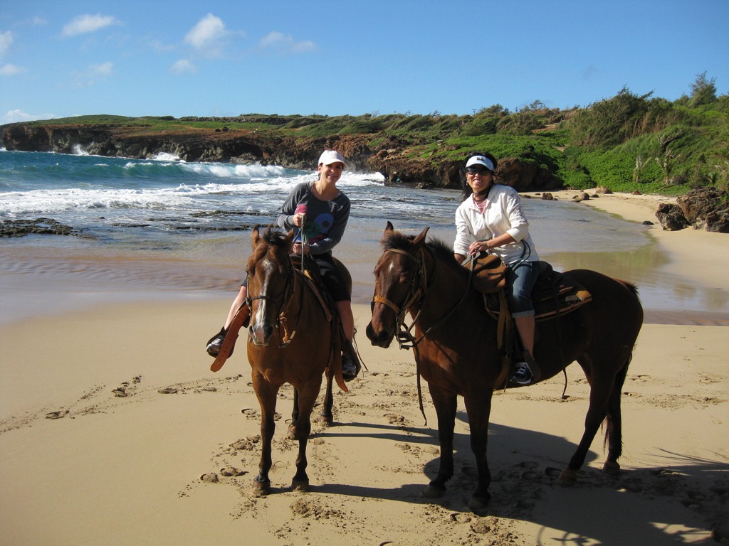 [kauai_horse_aya_trish2%255B3%255D.jpg]