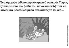 τι2 τι2