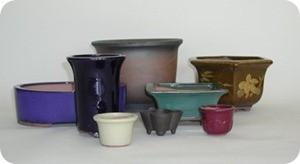 bonsai-pots-group