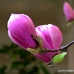 IMG_6206.jpg