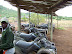 South Africa Day 1 - On Safari