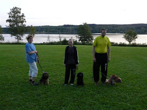KM 2011 agility medium.JPG
