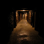 20061124173117__PB242430.JPG