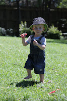 IMG_7789.JPG