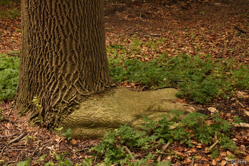 [IMG_5456%255B4%255D.jpg]
